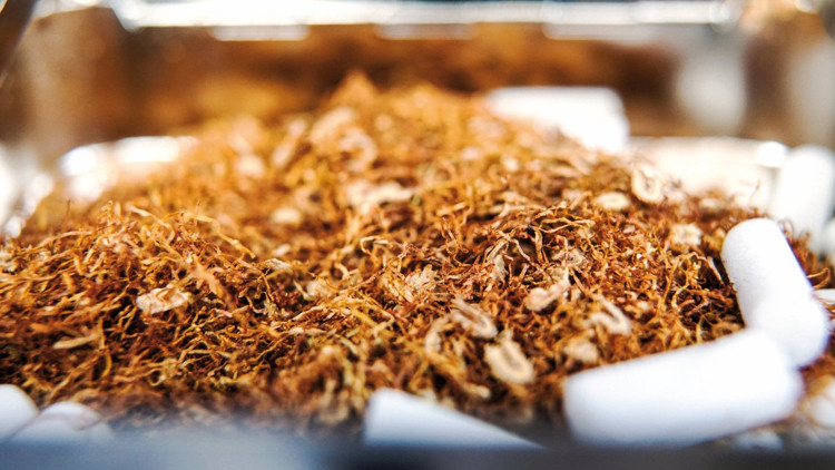 Kaçak tütünden 25 milyar kayıp