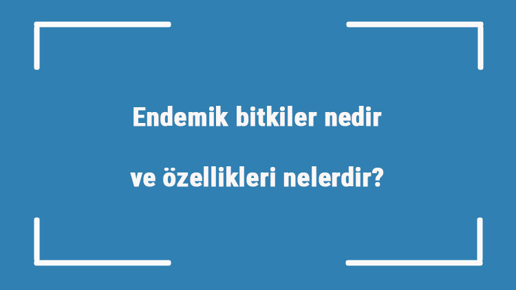Endemik bitkiler nedir ve özellikleri nelerdir Endemik bitkiler neden önemli ve nasıl korunur
