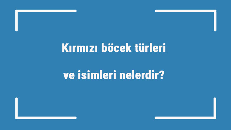 Kırmızı böcek türleri ve isimleri nelerdir Kırmızı böcek türleri ve isimleri nelerdir