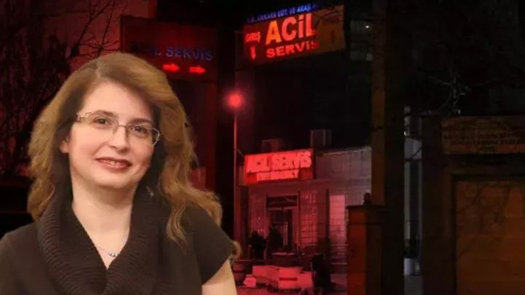 Ankarada doktor Ebru Ergin Bakarı darbetmişti Güvenlik görevlilerine de hakaret etmiş