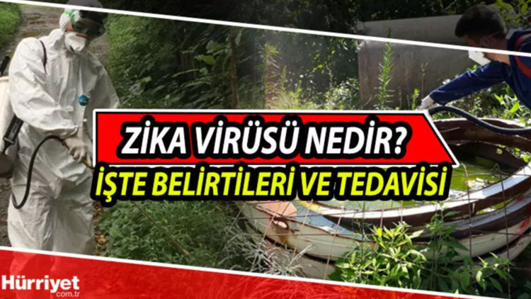 Zika Virusu nedir, nasıl bulaşır