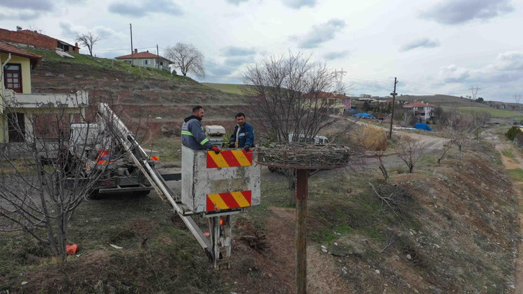 Leyleklere özel yuva