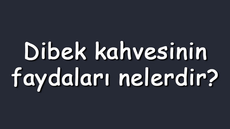 Dibek kahvesinin faydaları nelerdir Nasıl ve neyden yapılır, zayıflatır mı Dibek kahvesinin faydaları nelerdir Nasıl ve neyden yapılır, zayıflatır mı