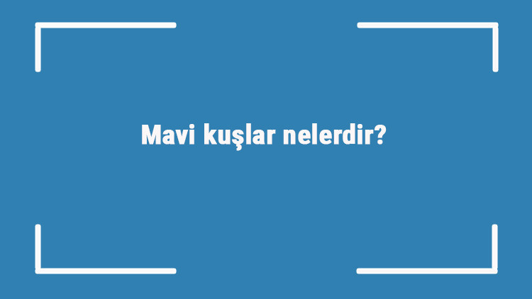Mavi kuşlar nelerdir Mavi renge sahip kuş türleri ve isimleri Mavi kuşlar nelerdir Mavi renge sahip kuş türleri ve isimleri