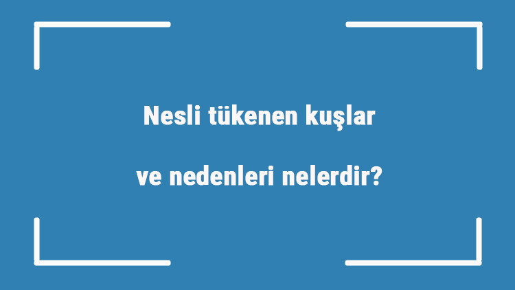 Nesli tükenen kuşlar ve nedenleri nelerdir