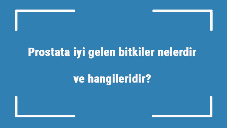 Prostata iyi gelen bitkiler nelerdir ve hangileridir