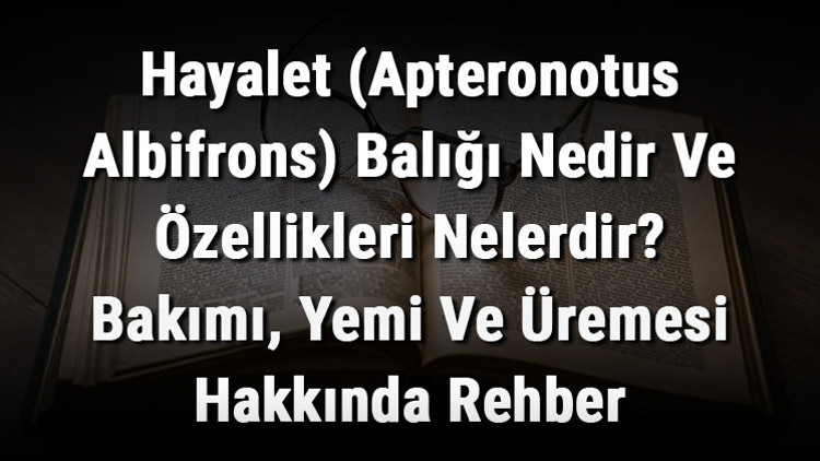Hayalet (Apteronotus Albifrons) Balığı Nedir Ve Özellikleri Nelerdir Bakımı, Yemi Ve Üremesi Hakkında Rehber
