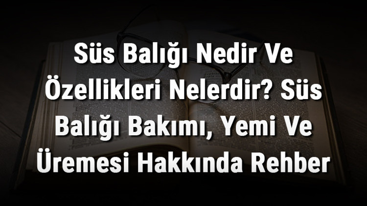 Süs Balığı Nedir Ve Özellikleri Nelerdir? Süs Balığı Bakımı, Yemi Ve Üremesi Hakkında Rehber