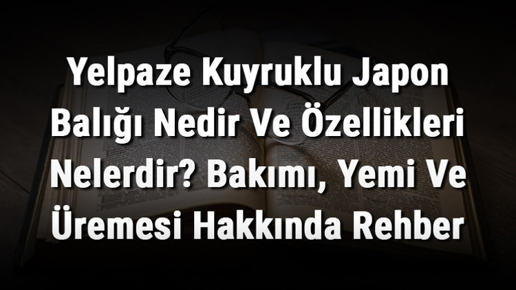Yelpaze Kuyruklu Japon Balığı Nedir Ve Özellikleri Nelerdir? Bakımı, Yemi Ve Üremesi Hakkında Rehber