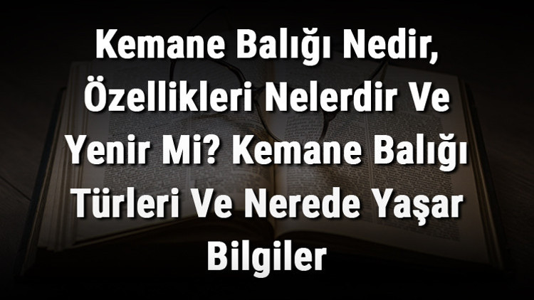 Kemane Balığı Nedir, Özellikleri Nelerdir Ve Yenir Mi Kemane Balığı Türleri Ve Nerede Yaşar Bilgiler Kemane Balığı Nedir, Özellikleri Nelerdir Ve Yenir Mi Kemane Balığı Türleri Ve Nerede Yaşar Bilgiler