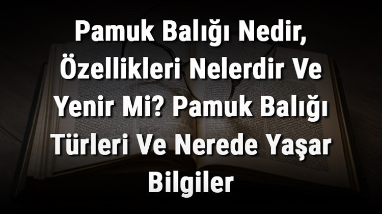Pamuk Balığı Nedir, Özellikleri Nelerdir Ve Yenir Mi Pamuk Balığı Türleri Ve Nerede Yaşar Bilgiler