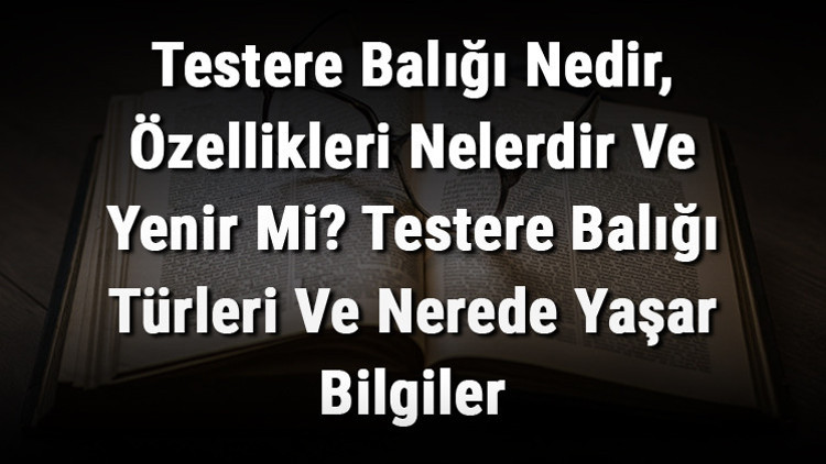 Testere Balığı Nedir, Özellikleri Nelerdir Ve Yenir Mi? Testere Balığı Türleri Ve Nerede Yaşar Bilgiler