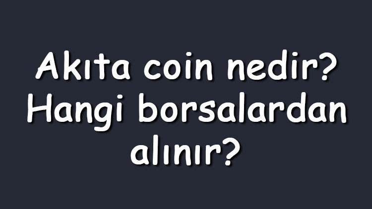 Akıta coin nedir Hangi borsalardan alınır Akita Inu ne zaman çıktı Ne iş yapar