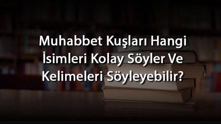 Muhabbet Kuşları Hangi İsimleri Kolay Söyler Ve Kelimeleri Söyleyebilir