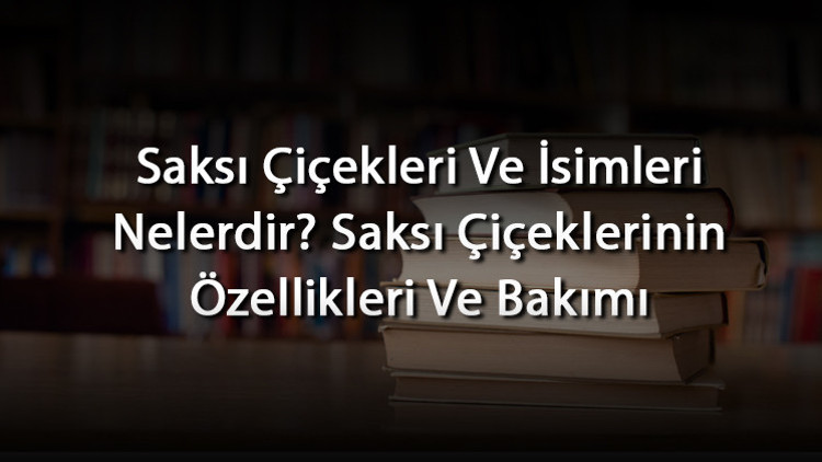 Saksı Çiçekleri Ve İsimleri Nelerdir Saksı Çiçeklerinin Özellikleri Ve Bakımı