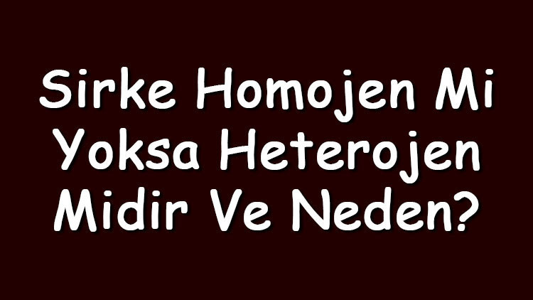 Sirke homojen mi yoksa heterojen midir ve neden