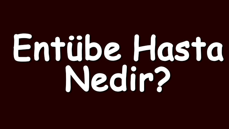 Entübe hasta nedir Entübe hasta iyileşir mi ya da ne kadar sürede iyileşir Entübe hasta nedir Entübe hasta iyileşir mi ya da ne kadar sürede iyileşir