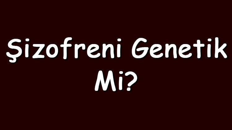 Şizofreni genetik mi Şizofreni hastalığı için genetik yatkınlık var mıdır