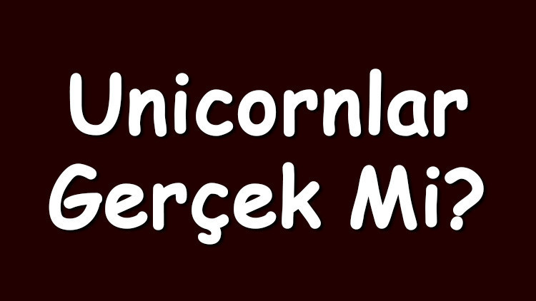 Unicornlar gerçek mi Unicornlar hakkında efsaneler ve bilgiler Unicornlar gerçek mi Unicornlar hakkında efsaneler ve bilgiler