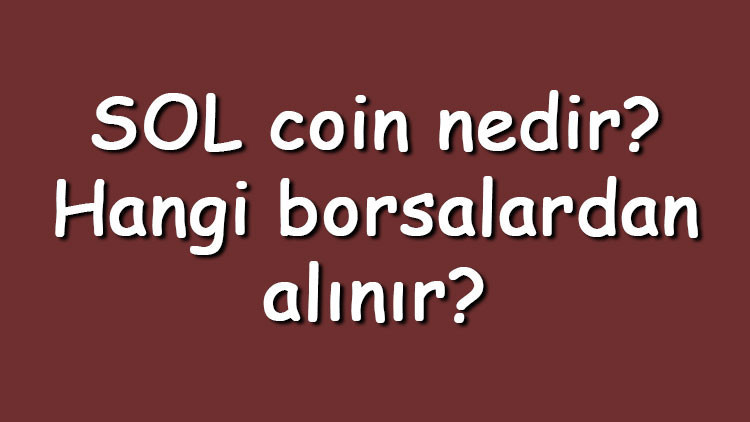 SOL coin nedir Hangi borsalardan alınır Solana ne zaman çıktı Ne iş yapar