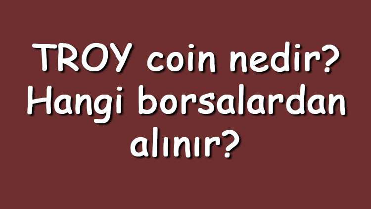 TROY coin nedir Hangi borsalardan alınır TROY ne zaman çıktı Ne iş yapar