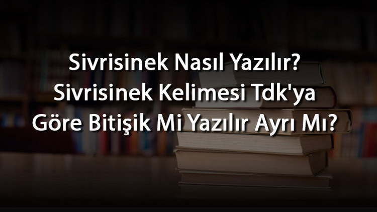 Sivrisinek Nasıl Yazılır Sivrisinek Kelimesi Tdkya Göre Bitişik Mi Yazılır Ayrı Mı