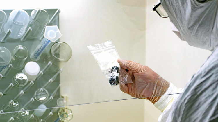 10 soruda maymun çiçeği