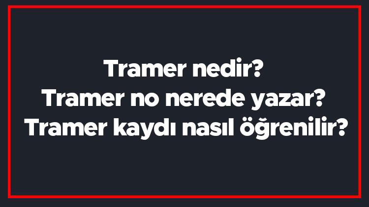 Tramer nedir Tramer no nerede yazar Tramer kaydı nasıl öğrenilir Tramer nedir Tramer no nerede yazar Tramer kaydı nasıl öğrenilir