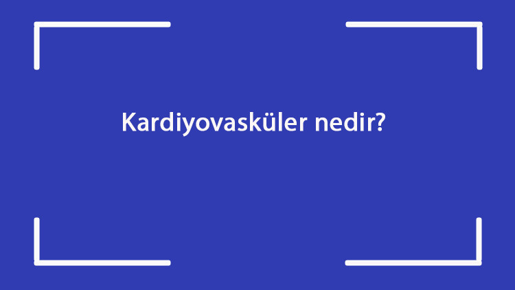 Kardiyovasküler nedir Belirtileri nelerdir Hastalığın tanısı ve tedavi yöntemleri