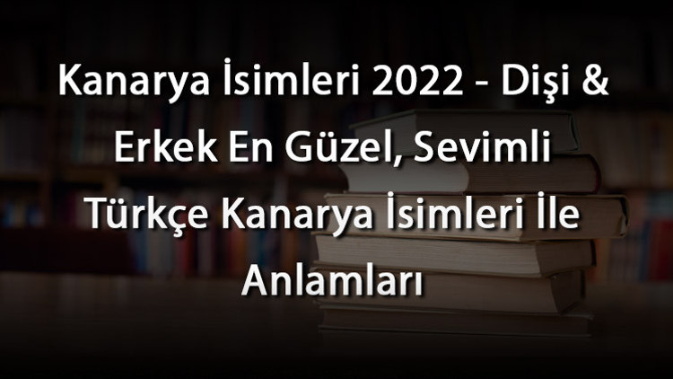 Kanarya İsimleri 2022 - Dişi & Erkek En Güzel, Sevimli Türkçe Kanarya İsimleri İle Anlamları Kanarya İsimleri 2022 - Dişi & Erkek En Güzel, Sevimli Türkçe Kanarya İsimleri İle Anlamları