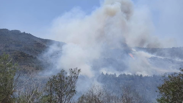 KKTCde arazide başlayan yangın ormana sıçradı