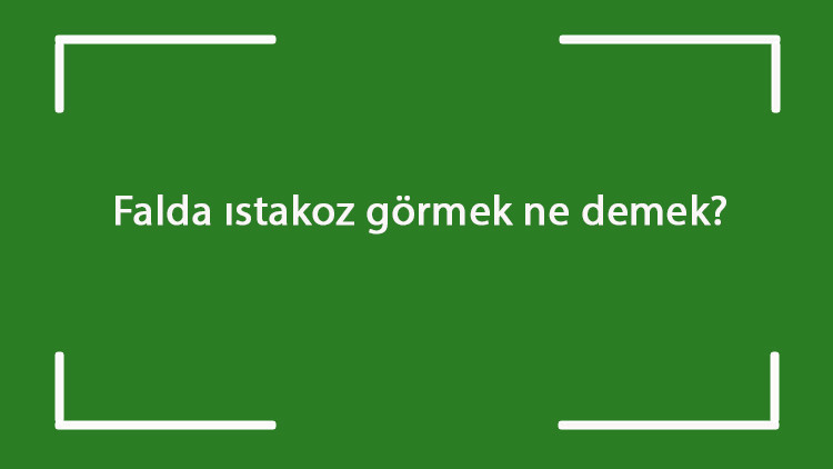 Falda ıstakoz görmek ne demek Kahve falında ıstakoz çıkması anlamı nedir Falda ıstakoz görmek ne demek Kahve falında ıstakoz çıkması anlamı nedir