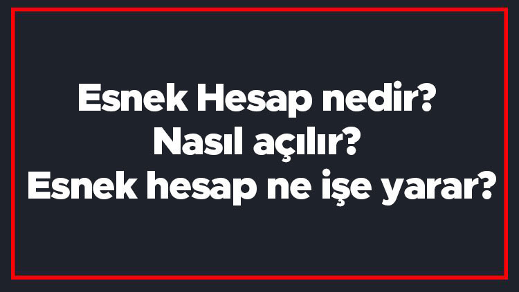 Esnek Hesap nedir Nasıl açılır Esnek hesap ne işe yarar
