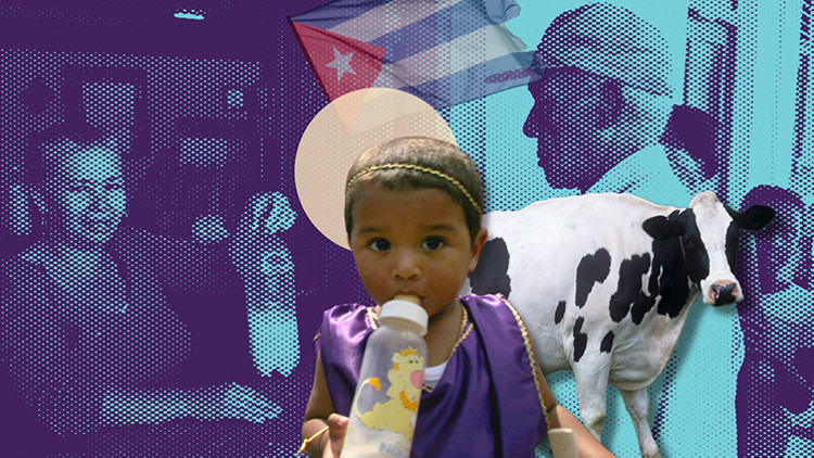 Süt Küba için her şey demekti Ama bugün...