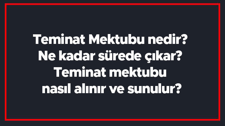 Teminat Mektubu nedir Ne kadar sürede çıkar Teminat mektubu nasıl alınır ve sunulur