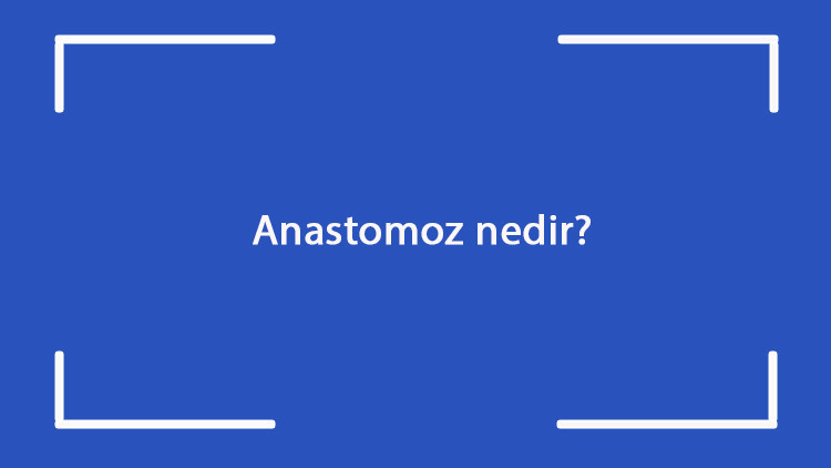 Anastomoz nedir Belirtileri nelerdir Anastomoz hastalığının tanısı ve tedavi yöntemleri Anastomoz nedir Belirtileri nelerdir Anastomoz hastalığının tanısı ve tedavi yöntemleri