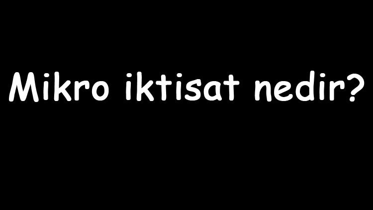 Mikro iktisat nedir Nasıl çalışır Mikro iktisat nasıl öğrenilir