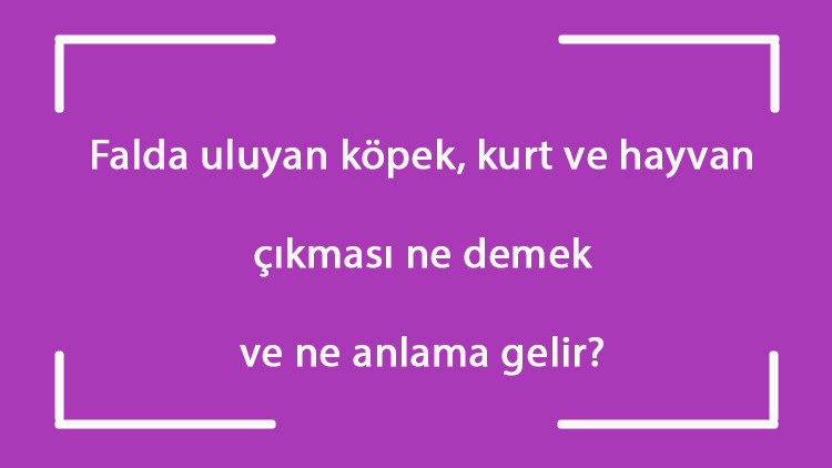 Falda uluyan köpek, kurt ve hayvan çıkması ne demek ve ne anlama gelir