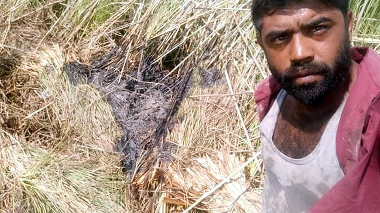 Sazlık yangını şüphelisi kendini böyle savundu: Delil olması için bölgede selfie yaptım
