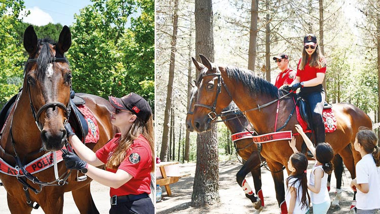Ormanda atlı devriye Ormanda atlı devriye