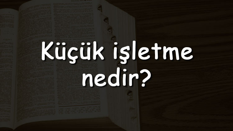 Küçük işletme nedir Nasıl kurulur ve açılır Küçük işletmenin tanımı