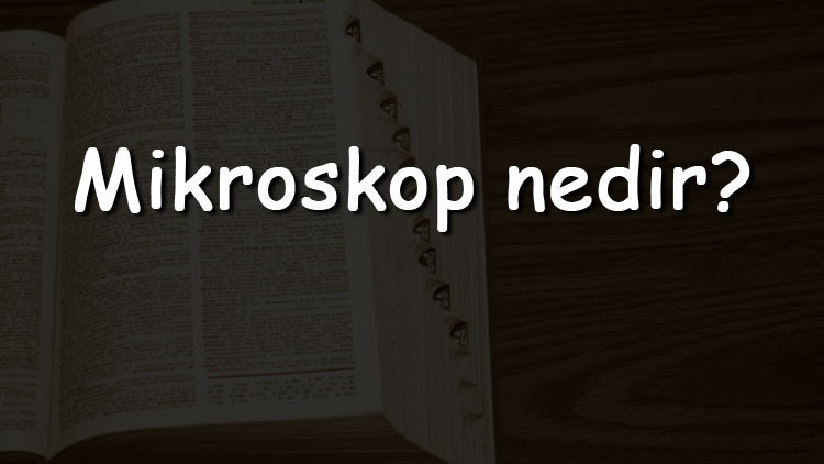 Mikroskop nedir Ne işe yarar ve nasıl kullanılır Mikroskop ne zaman icat edildi Mikroskop nedir Ne işe yarar ve nasıl kullanılır Mikroskop ne zaman icat edildi