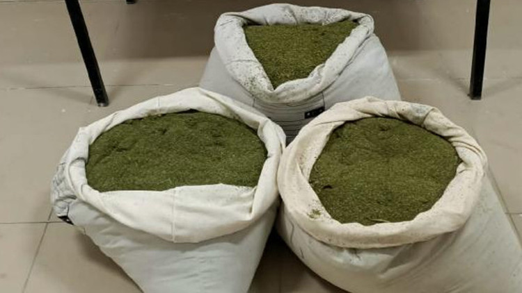 Eren Abluka-9 Operasyonunda 30 kilo esrar ele geçirildi Eren Abluka-9 Operasyonunda 30 kilo esrar ele geçirildi