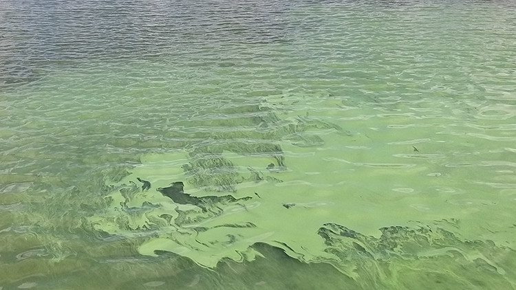 Sazlıdere Barajındaki endişelendiren görüntüye açıklama