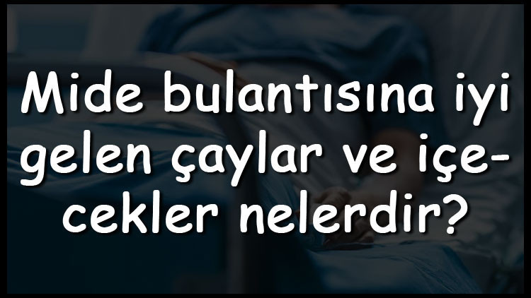 Mide bulantısına iyi gelen çaylar ve içecekler nelerdir Mide bulantısına iyi gelen bitki çayları ve içeceklerin tarifleri