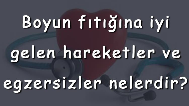 Boyun fıtığına iyi gelen hareketler ve egzersizler nelerdir Boyun fıtığına iyi gelen hareketler ve egzersizler nelerdir