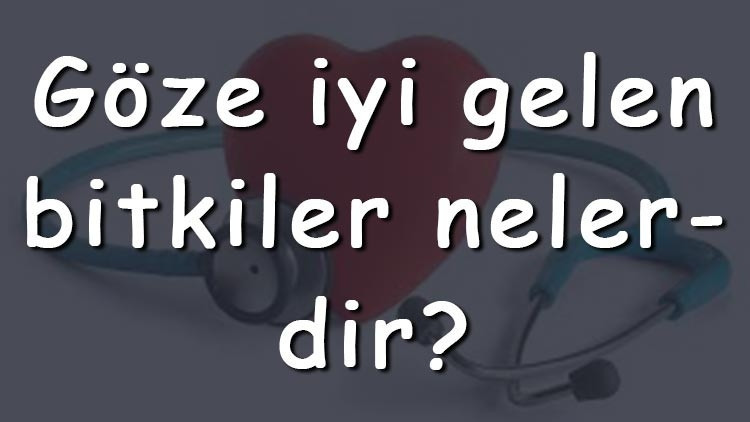 Göze iyi gelen bitkiler nelerdir Göze iyi gelen bitki çayları ve tarifleri