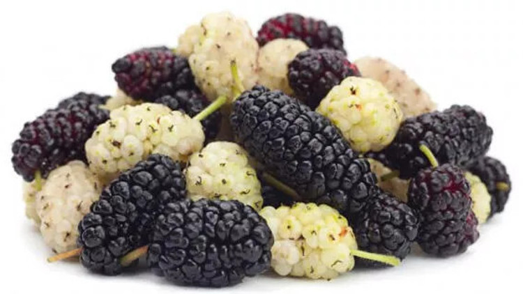 Dut Lekesi Nasıl Çıkar Tişörtten, Elden, Arabadan Ve Halıdan Kurumuş İle Kara Dut Lekesi Nasıl Temizlenir