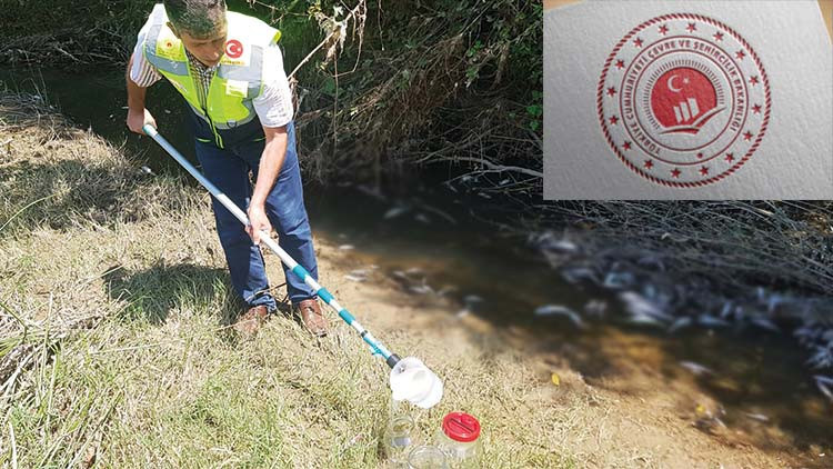 Çevre, Şehircilik ve İklim Değişikliği Bakanlığı’ndan balık ölümlerine ilişkin açıklama