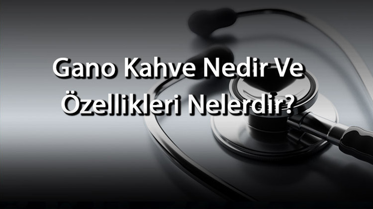 Gano Kahve Nedir Ve Özellikleri Nelerdir Gano Kahve Faydaları Nelerdir Ve Neye İyi Gelir